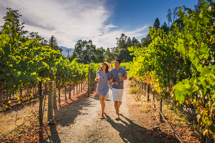 Stroll Through Napa Valley Vineyardscredit. david h collier visit napa valley_webb